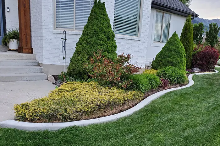 Front Yard Landscaping