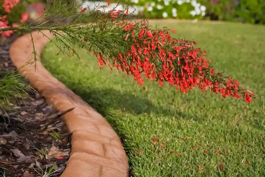 Experienced Lawn Edging Hyde Park, UT Experienced Lawn Edging Hyde Park, UT