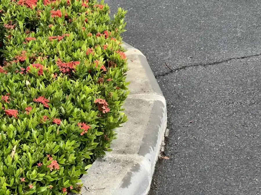 Expert Landscape Curbing Hyde Park, UT Expert Landscape Curbing Hyde Park, UT