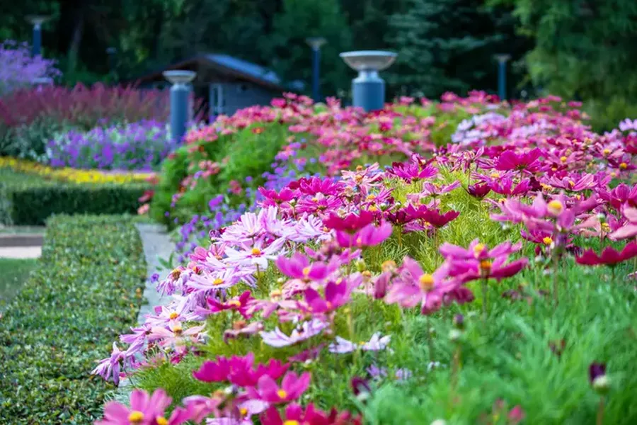 Professional Landscape Curbing Hyde Park, UT Professional Landscape Curbing Hyde Park, UT