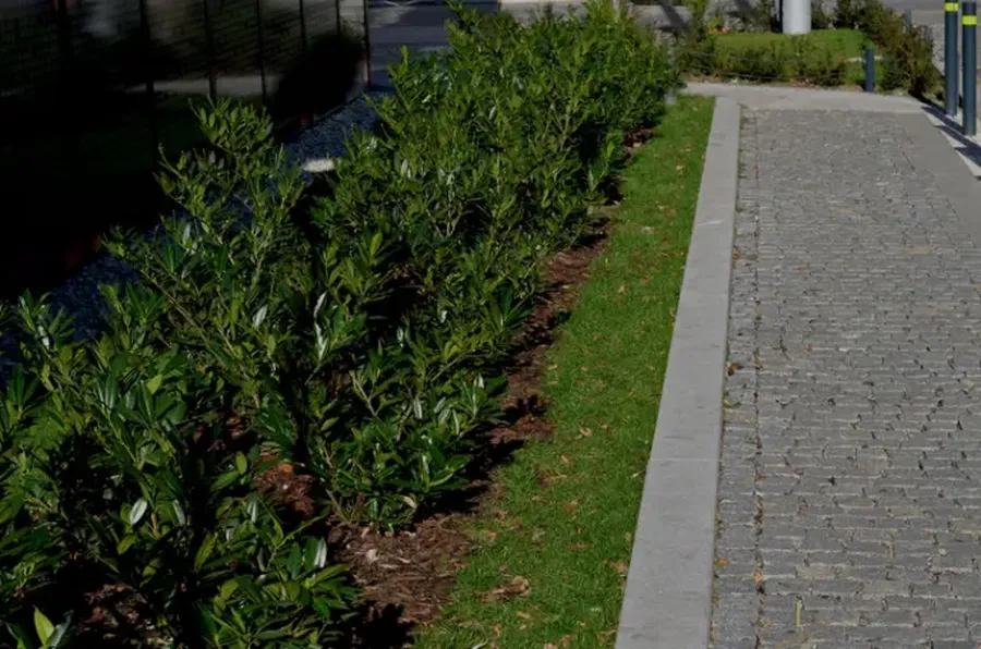 Steps To Prepare Your Yard For Landscape Curbing Installation Hyde Park, UT Steps To Prepare Your Yard For Landscape Curbing Installation Hyde Park, UT