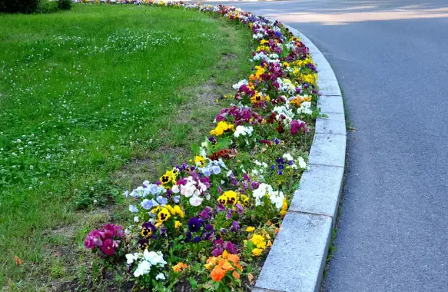 Steps To Prepare Your Yard For Landscape Curbing Installation in Hyde Park, UT Steps To Prepare Your Yard For Landscape Curbing Installation in Hyde Park, UT